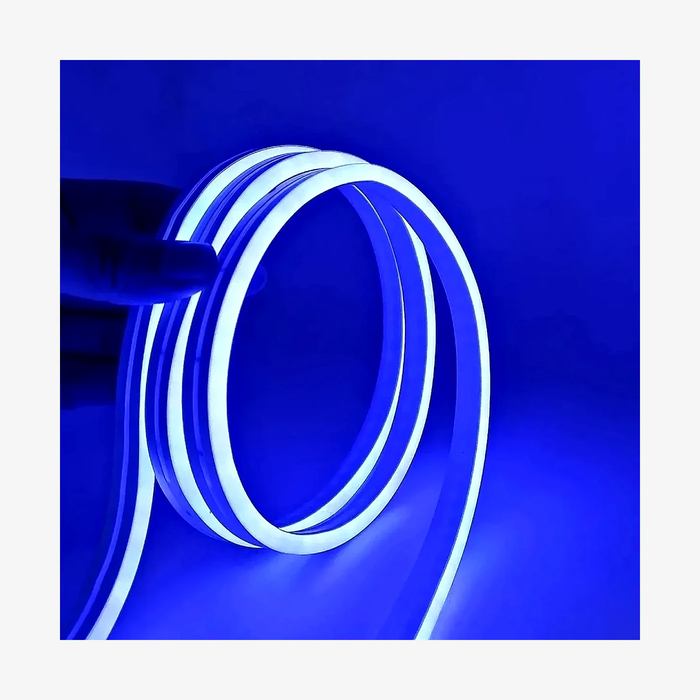 Tira De Neon LED 5M Con Tranformador Color Verde